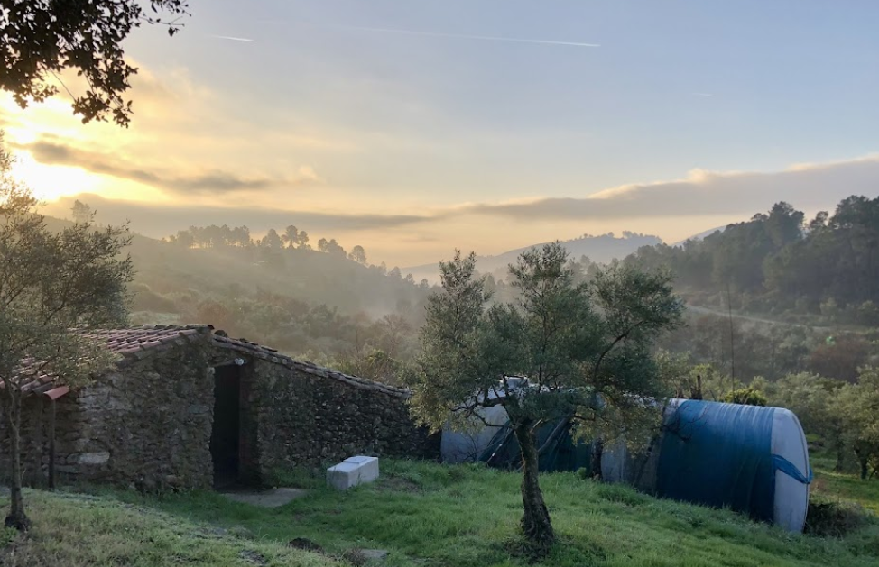 Retiros de Sanación en Extremadura